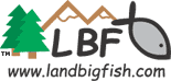 LAND BIG FISH