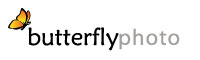 BUTTERFLY PHOTO